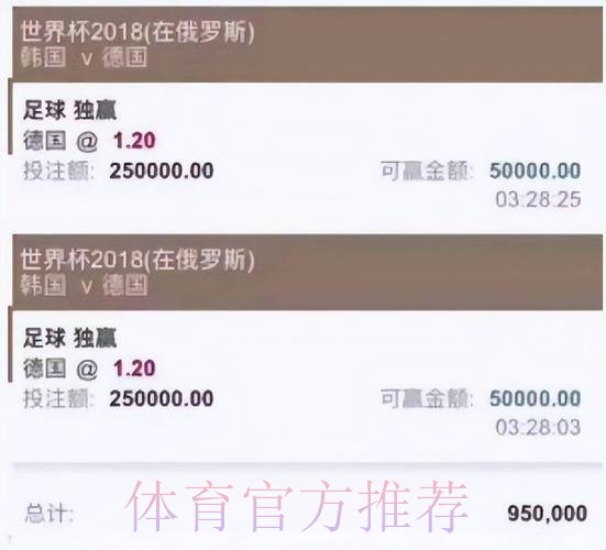 世界杯买球平台评测：全面解析多功能特性